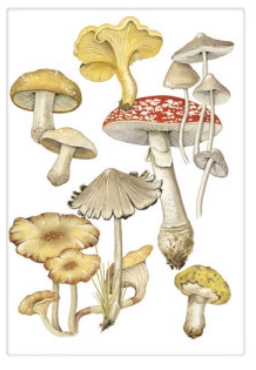 Flour Sack Kitchen Dish Towel Mushroom Medley Mary Lake - Thompson