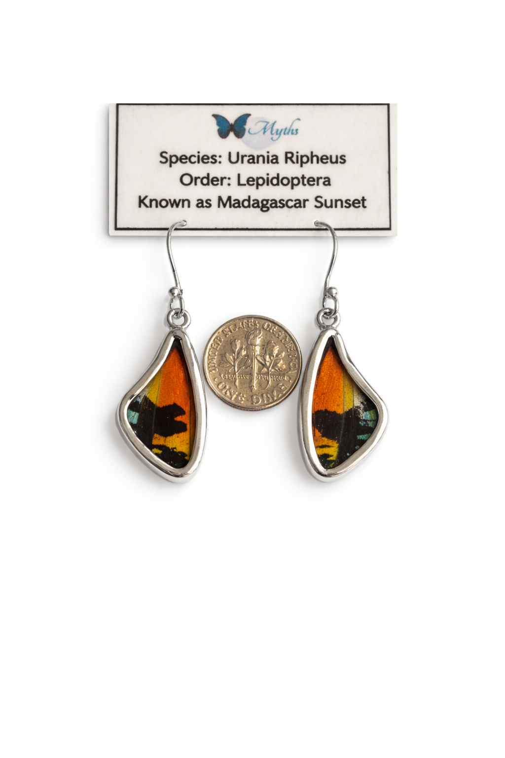 Sterling Silver Butterfly Earrings