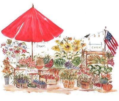 Out In The Country Cotten Huck Towel 18"x31"