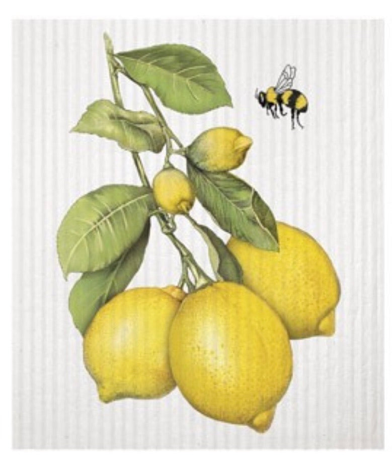 Sponge Cloths