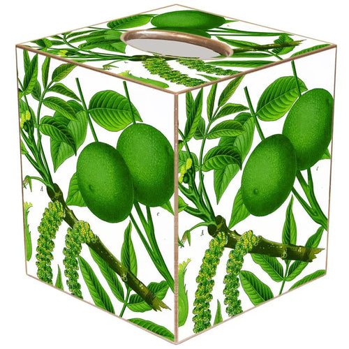 Marye-Kelley Limes On White Tissue Box Cover
