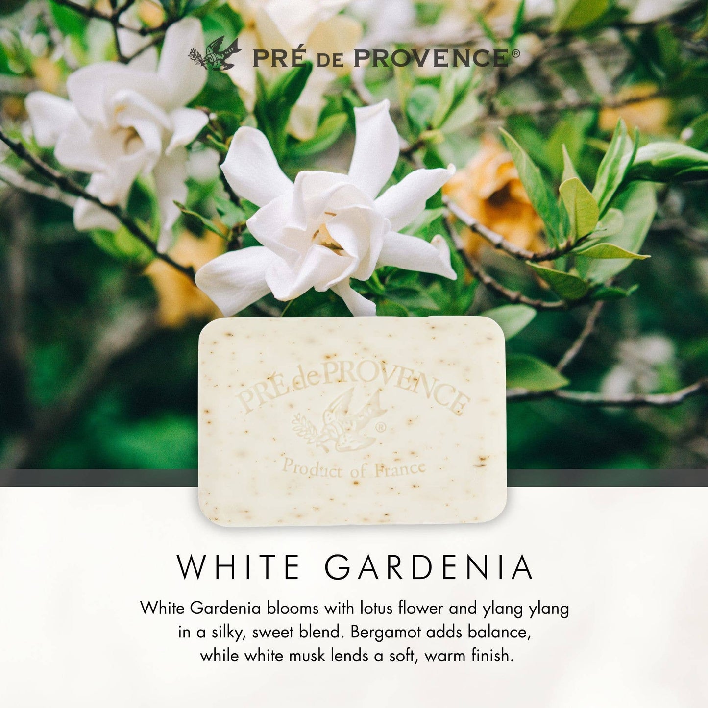Pre De Provence White Gardenia Soap Bar 150g