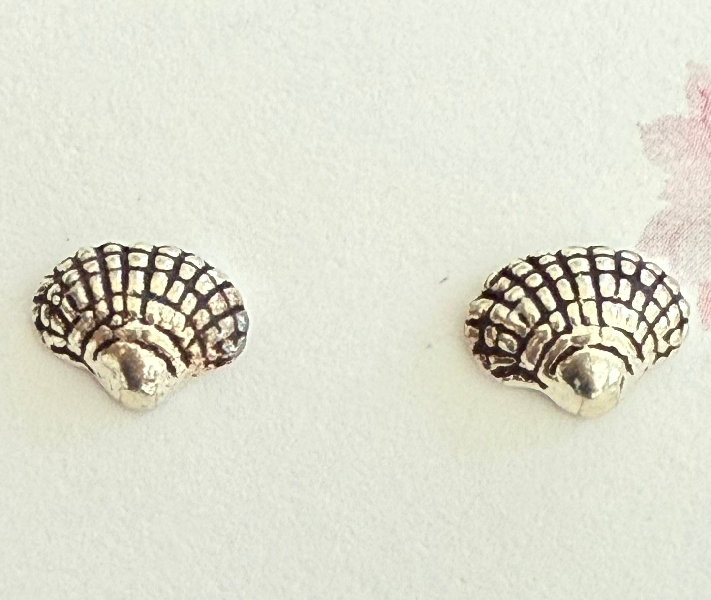 Sterling Silver Seashell Stud Earrings New