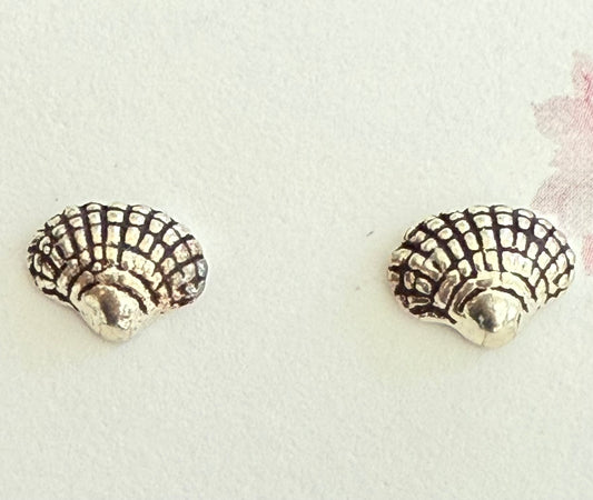 Sterling Silver Seashell Stud Earrings New