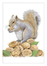 Load image into Gallery viewer, Flour Sack Kitchen Dish Towel Walnut Squirrel Mary Lake - Thompson