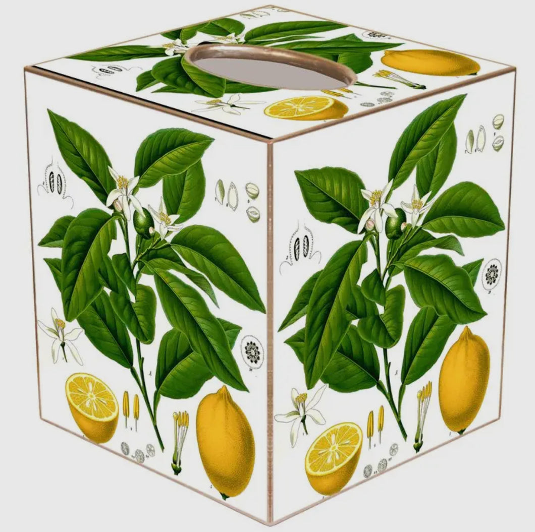 Marye-Kelley Vintage Lemons Tissue Box Cover