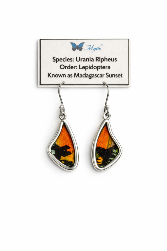 Sterling Silver Butterfly Earrings