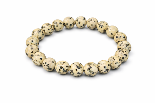 Dalmatian Jasper Beaded Bracelet