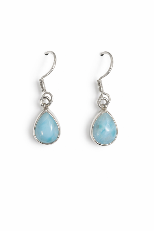 Sterling Silver Larimar Dangle Earrings