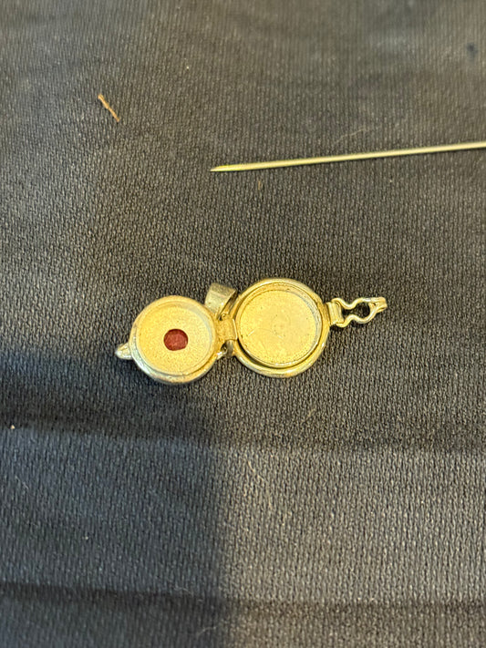 Sterling Silver Ruby Poison Pendant